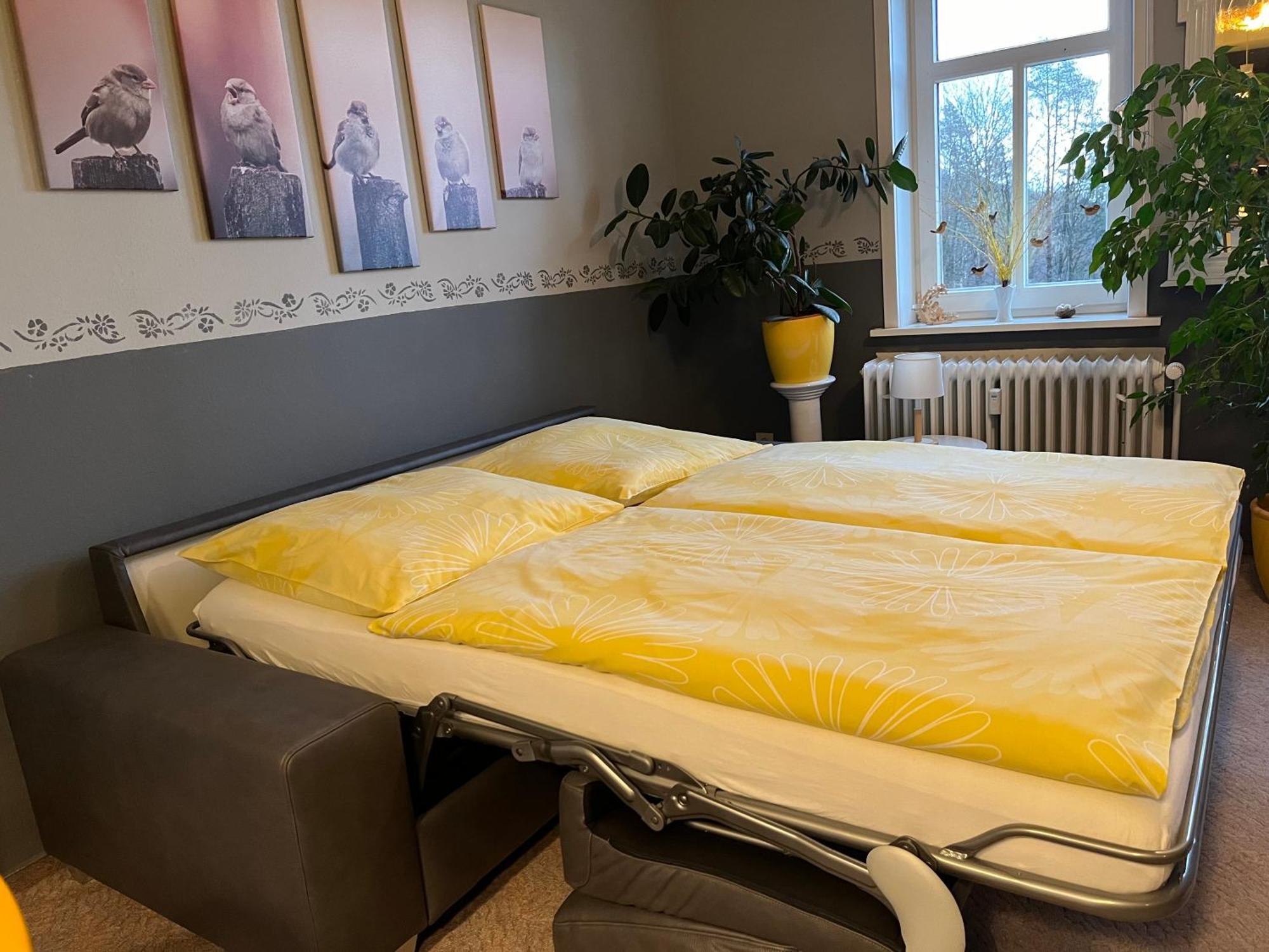 Der Falkenhorst 巴特萨克萨 外观 照片